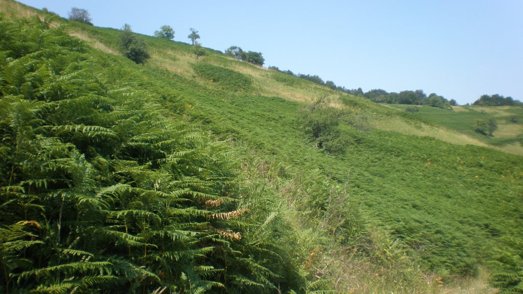 Натиснете снимката за да я уголемите

Име:P7160327.jpg
Прегледи:1
Размер:152.4 КБ
ID:5393108
