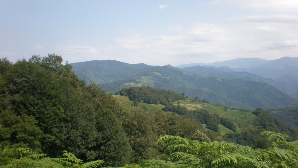 Натиснете снимката за да я уголемите

Име:P7160328.jpg
Прегледи:1
Размер:100.0 КБ
ID:5393109