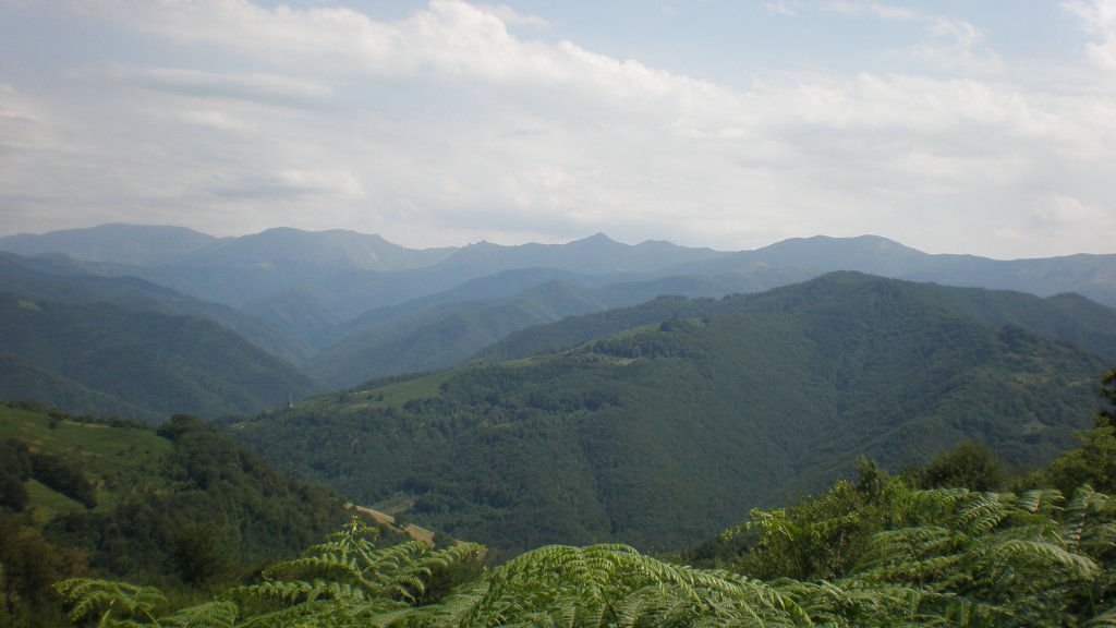 Натиснете снимката за да я уголемите

Име:P7160329.jpg
Прегледи:1
Размер:75.9 КБ
ID:5393110