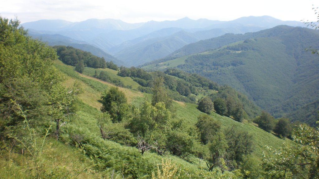 Натиснете снимката за да я уголемите

Име:P7160330.jpg
Прегледи:1
Размер:142.2 КБ
ID:5393111