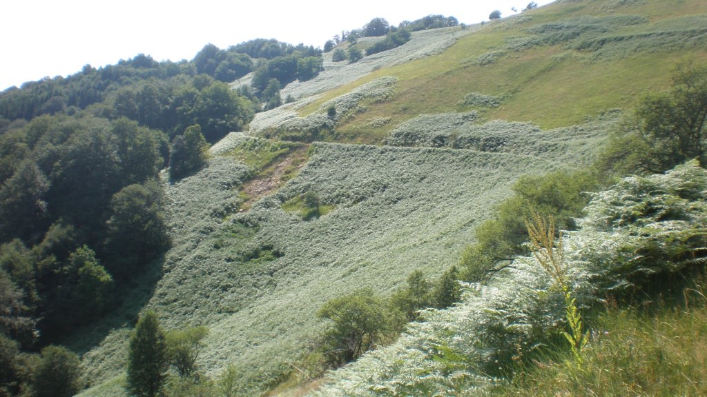 Натиснете снимката за да я уголемите

Име:P7160331.jpg
Прегледи:1
Размер:160.0 КБ
ID:5393112
