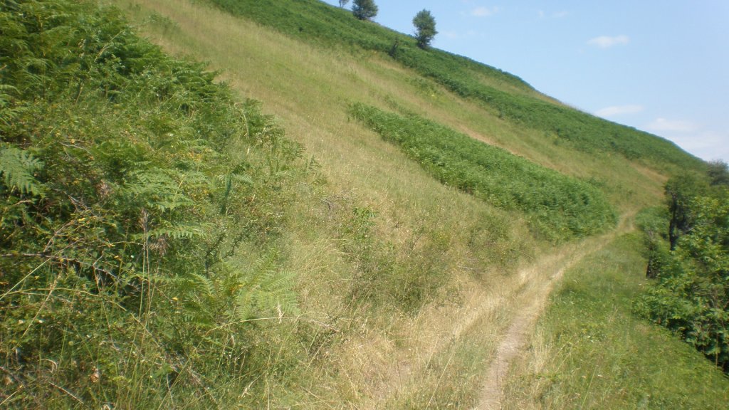 Натиснете снимката за да я уголемите

Име:P7160332.jpg
Прегледи:1
Размер:158.9 КБ
ID:5393113