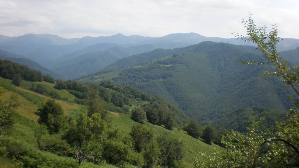 Натиснете снимката за да я уголемите

Име:P7160333.jpg
Прегледи:1
Размер:98.1 КБ
ID:5393114