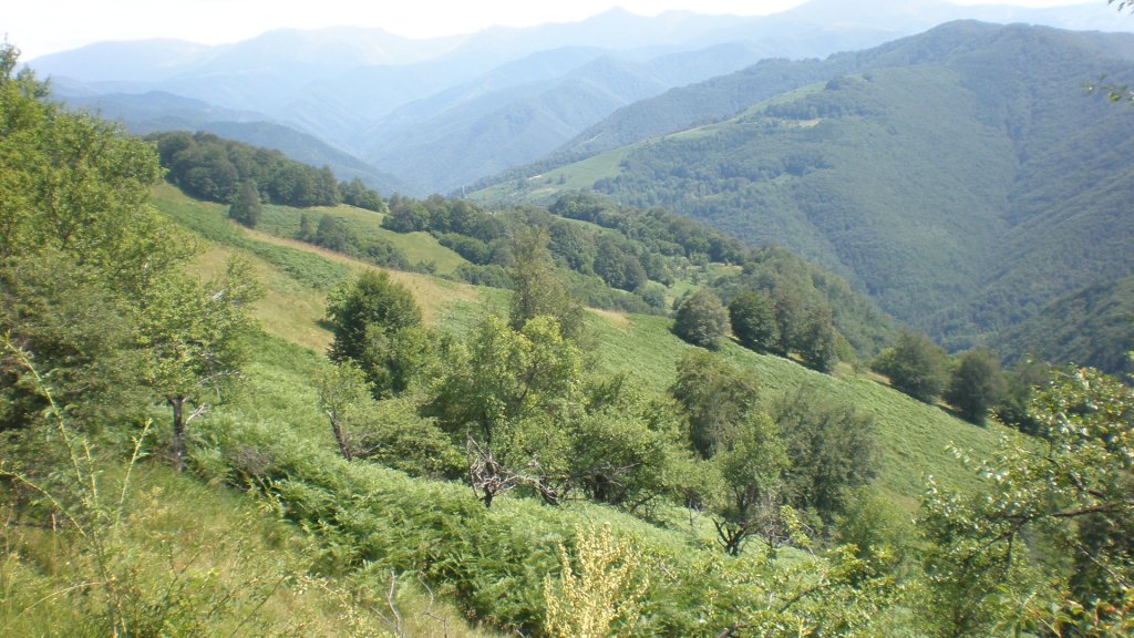 Натиснете снимката за да я уголемите

Име:P7160334.jpg
Прегледи:1
Размер:159.7 КБ
ID:5393115