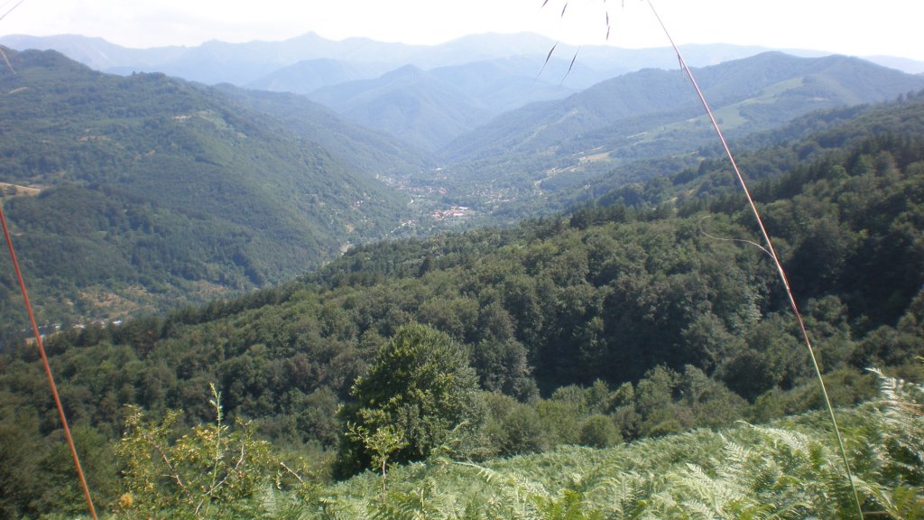 Натиснете снимката за да я уголемите

Име:P7160335.jpg
Прегледи:1
Размер:130.6 КБ
ID:5393116