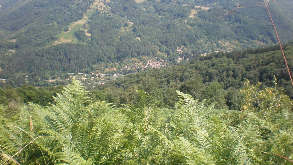 Натиснете снимката за да я уголемите

Име:P7160336.jpg
Прегледи:1
Размер:192.5 КБ
ID:5393117