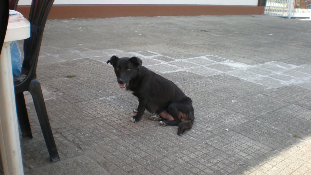 Натиснете снимката за да я уголемите

Име:P7160339.jpg
Прегледи:1
Размер:110.6 КБ
ID:5393120