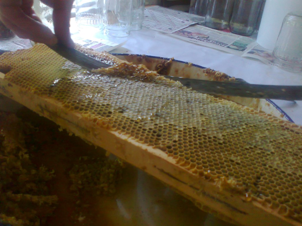 Натиснете снимката за да я уголемите

Име:Снимка0177.jpg
Прегледи:1
Размер:119.4 КБ
ID:5393130