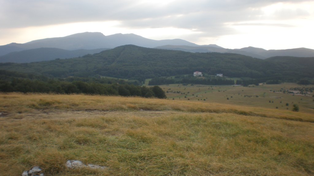 Натиснете снимката за да я уголемите

Име:P7160350.jpg
Прегледи:1
Размер:77.3 КБ
ID:5394221