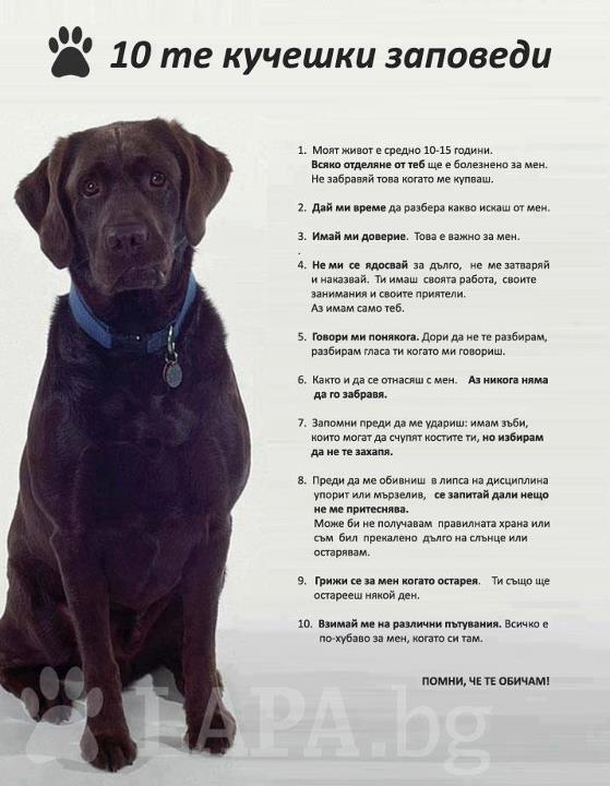 Натиснете снимката за да я уголемите

Име:531244_396515650404627_722355778_n.jpg
Прегледи:1
Размер:54.4 КБ
ID:5394684