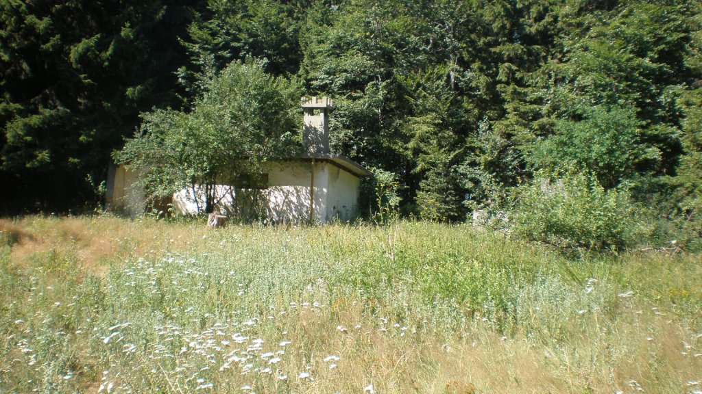 Натиснете снимката за да я уголемите

Име:P7170447.jpg
Прегледи:1
Размер:219.1 КБ
ID:5394714