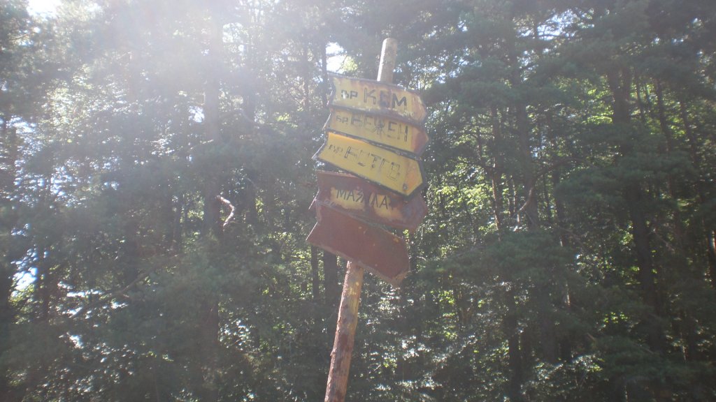 Натиснете снимката за да я уголемите

Име:P7170448.jpg
Прегледи:1
Размер:120.7 КБ
ID:5394715