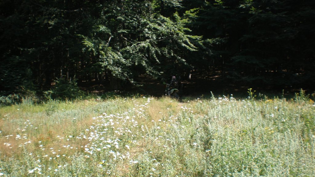 Натиснете снимката за да я уголемите

Име:P7170450.jpg
Прегледи:1
Размер:163.5 КБ
ID:5394717