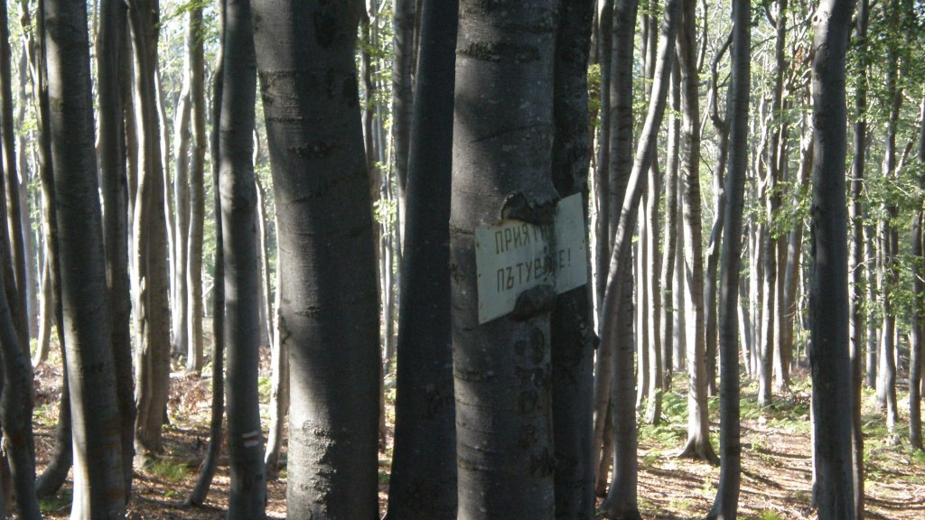 Натиснете снимката за да я уголемите

Име:P7170467.jpg
Прегледи:1
Размер:151.3 КБ
ID:5394737