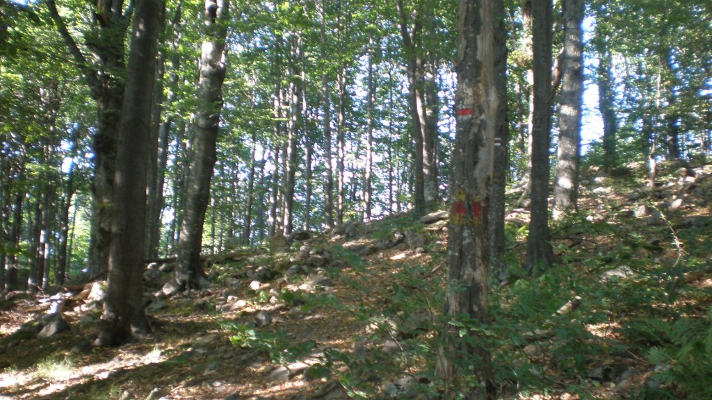 Натиснете снимката за да я уголемите

Име:P7170469.jpg
Прегледи:1
Размер:190.3 КБ
ID:5394739