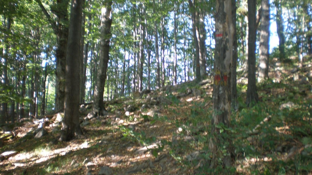 Натиснете снимката за да я уголемите

Име:P7170470.jpg
Прегледи:1
Размер:166.8 КБ
ID:5394740