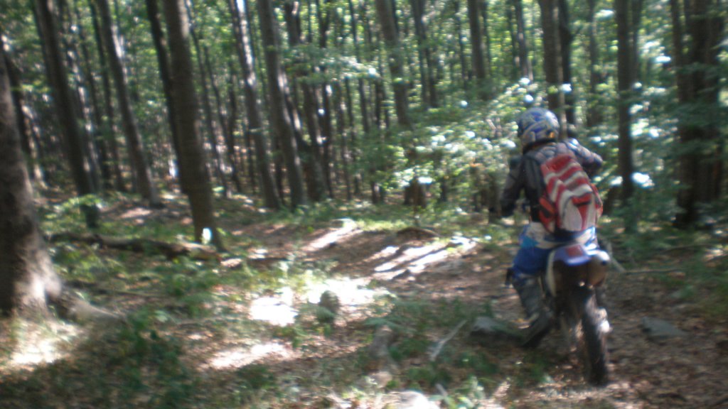 Натиснете снимката за да я уголемите

Име:P7170473.jpg
Прегледи:1
Размер:116.6 КБ
ID:5394743