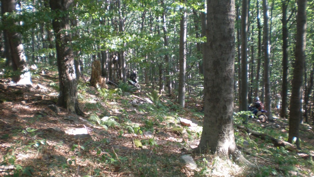 Натиснете снимката за да я уголемите

Име:P7170474.jpg
Прегледи:1
Размер:182.7 КБ
ID:5394747