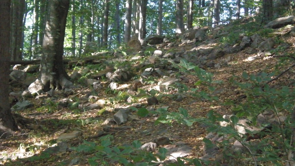 Натиснете снимката за да я уголемите

Име:P7170475.jpg
Прегледи:1
Размер:167.2 КБ
ID:5394748