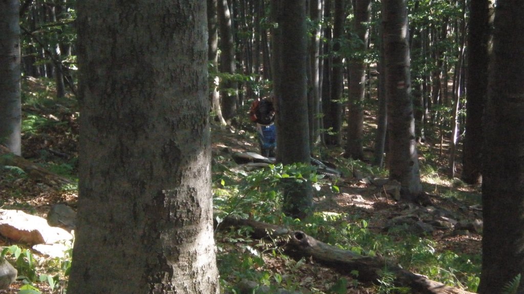 Натиснете снимката за да я уголемите

Име:P7170476.jpg
Прегледи:1
Размер:132.7 КБ
ID:5394749