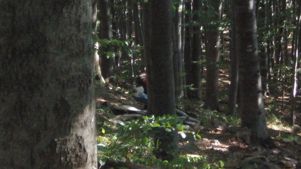 Натиснете снимката за да я уголемите

Име:P7170477.jpg
Прегледи:1
Размер:110.2 КБ
ID:5394750