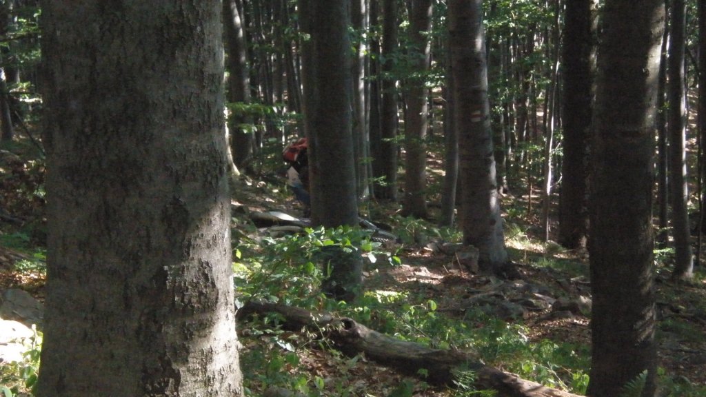 Натиснете снимката за да я уголемите

Име:P7170478.jpg
Прегледи:1
Размер:131.5 КБ
ID:5394751