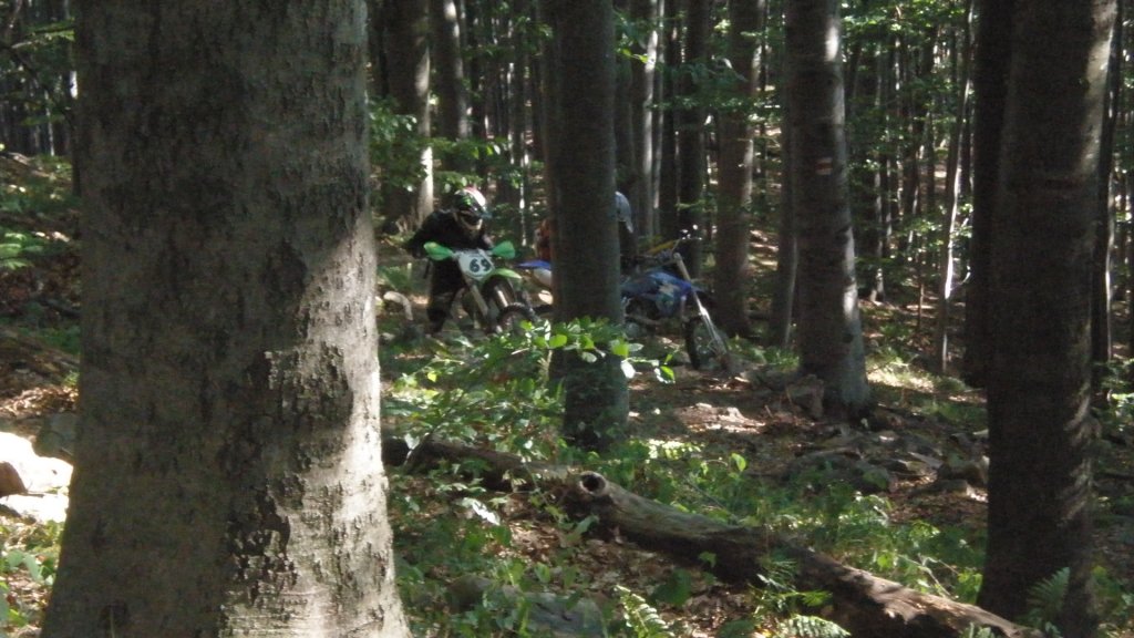 Натиснете снимката за да я уголемите

Име:P7170479.jpg
Прегледи:1
Размер:127.7 КБ
ID:5394752