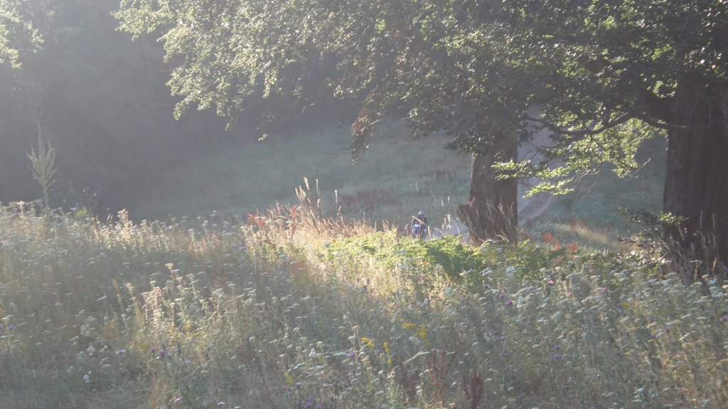 Натиснете снимката за да я уголемите

Име:P7170483.jpg
Прегледи:1
Размер:139.5 КБ
ID:5394758