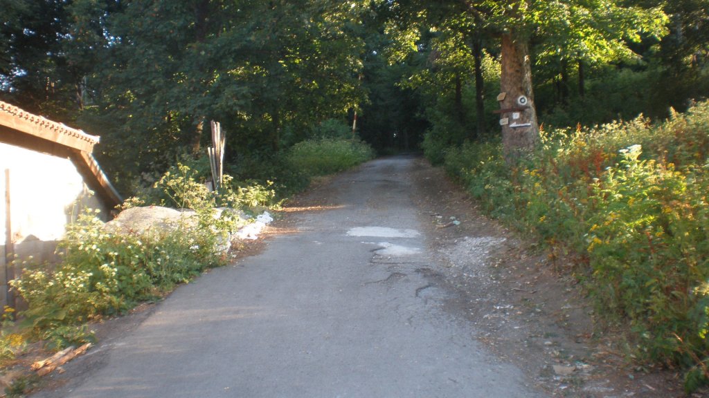 Натиснете снимката за да я уголемите

Име:P7170489.jpg
Прегледи:1
Размер:140.3 КБ
ID:5394775