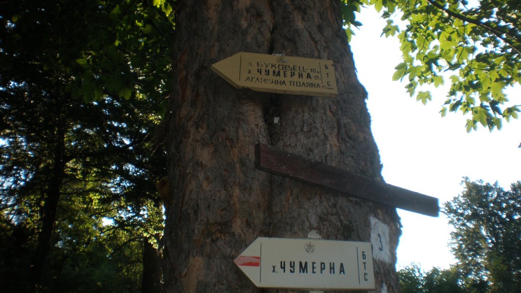 Натиснете снимката за да я уголемите

Име:P7170492.jpg
Прегледи:1
Размер:123.0 КБ
ID:5394778
