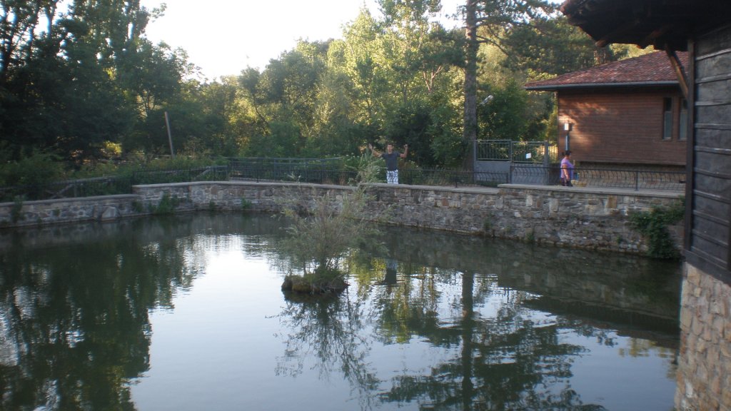 Натиснете снимката за да я уголемите

Име:P7180504.jpg
Прегледи:1
Размер:129.1 КБ
ID:5394899