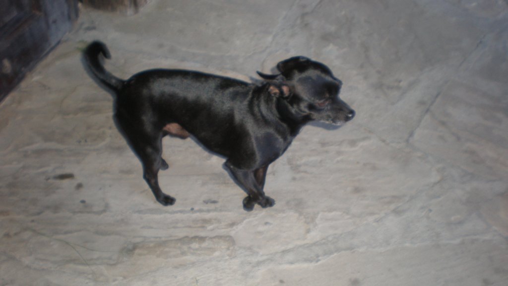 Натиснете снимката за да я уголемите

Име:P7180510.jpg
Прегледи:1
Размер:57.7 КБ
ID:5394905