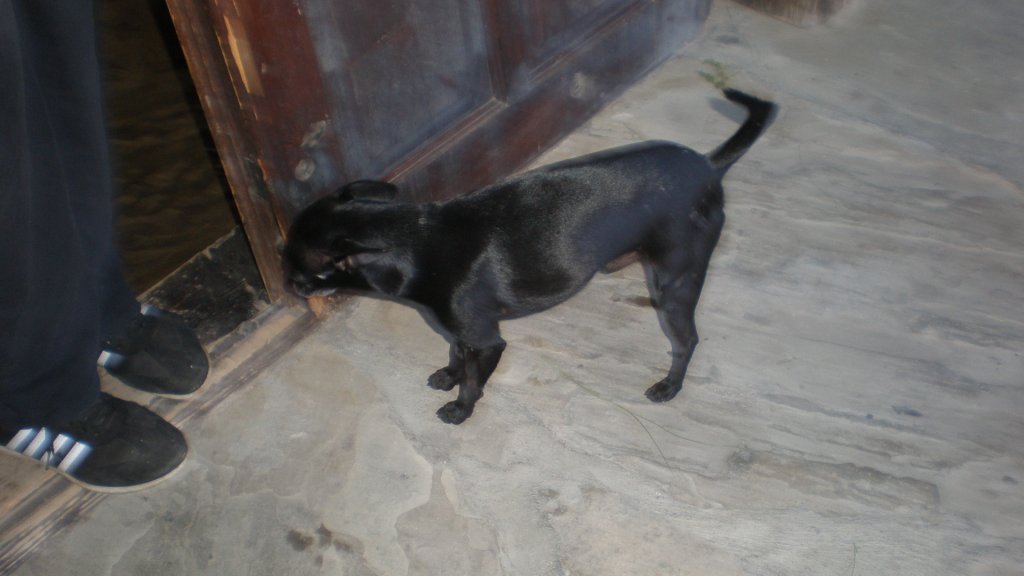 Натиснете снимката за да я уголемите

Име:P7180511.jpg
Прегледи:1
Размер:71.0 КБ
ID:5394906