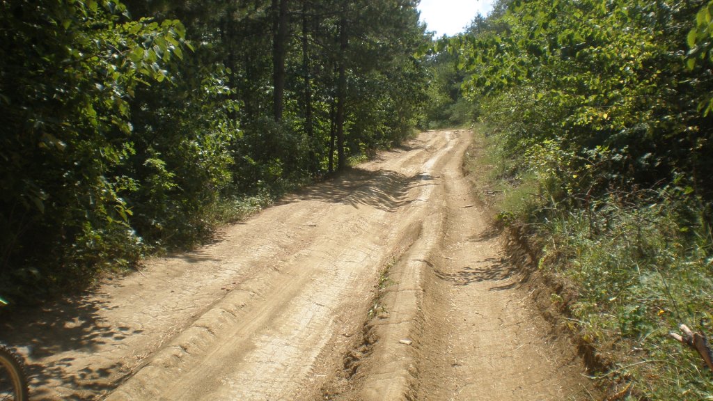 Натиснете снимката за да я уголемите

Име:P7180526.jpg
Прегледи:1
Размер:178.7 КБ
ID:5394920