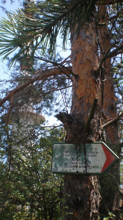 Натиснете снимката за да я уголемите

Име:P7180533.jpg
Прегледи:1
Размер:120.3 КБ
ID:5394927