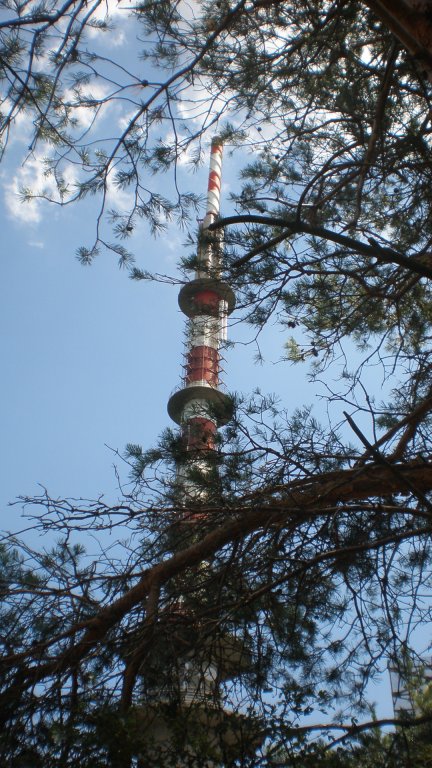 Натиснете снимката за да я уголемите

Име:P7180534.jpg
Прегледи:1
Размер:116.7 КБ
ID:5394928