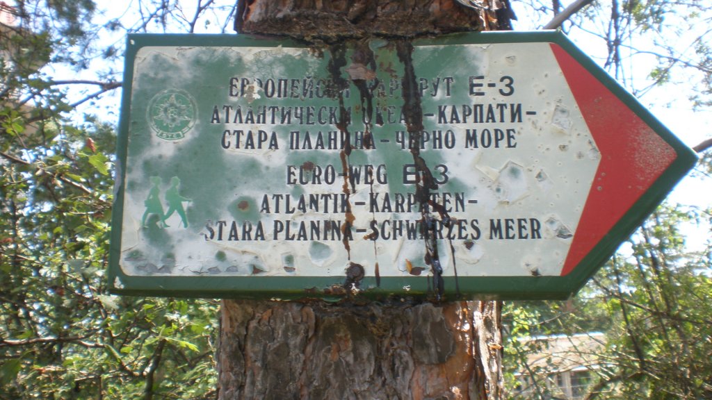 Натиснете снимката за да я уголемите

Име:P7180535.jpg
Прегледи:1
Размер:152.6 КБ
ID:5394930