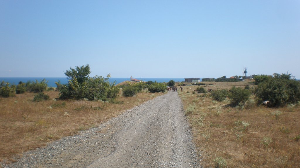 Натиснете снимката за да я уголемите

Име:P7180560.jpg
Прегледи:1
Размер:97.6 КБ
ID:5394952