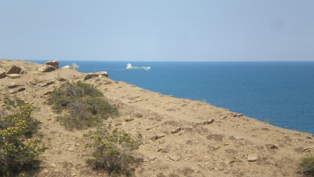 Натиснете снимката за да я уголемите

Име:P7180574.jpg
Прегледи:1
Размер:99.3 КБ
ID:5394967