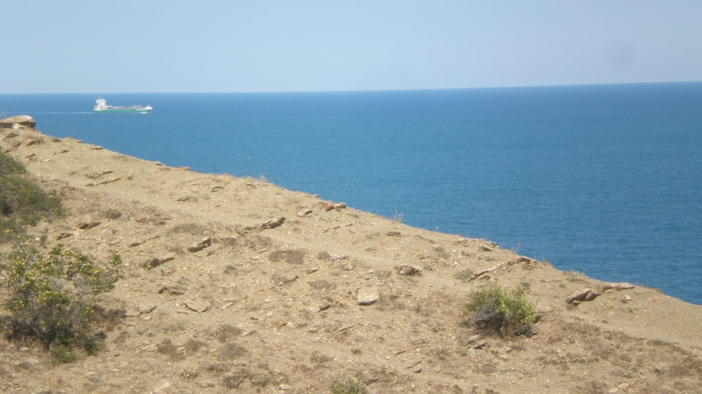 Натиснете снимката за да я уголемите

Име:P7180575.jpg
Прегледи:1
Размер:97.6 КБ
ID:5394968