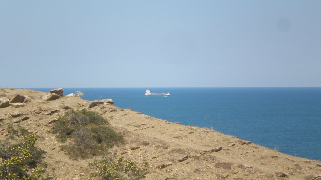 Натиснете снимката за да я уголемите

Име:P7180576.jpg
Прегледи:1
Размер:76.5 КБ
ID:5394969