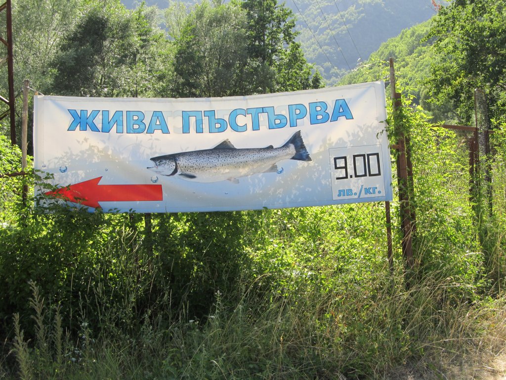 Натиснете снимката за да я уголемите

Име:IMG_1253.jpg
Прегледи:1
Размер:291.0 КБ
ID:5395180