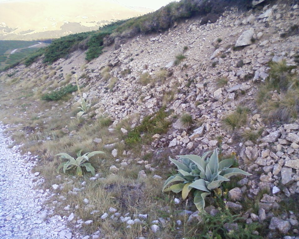 Натиснете снимката за да я уголемите

Име:Photo-0060.jpg
Прегледи:1
Размер:195.1 КБ
ID:5395232