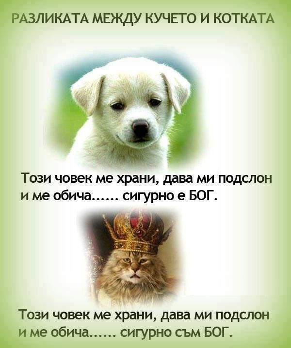 Натиснете снимката за да я уголемите

Име:255304_348321115242929_1423590859_n.jpg
Прегледи:1
Размер:48.7 КБ
ID:5395504