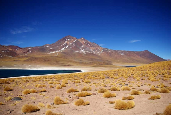 Натиснете снимката за да я уголемите

Име:Atacama Desert 8.jpg
Прегледи:1
Размер:77.9 КБ
ID:5979511