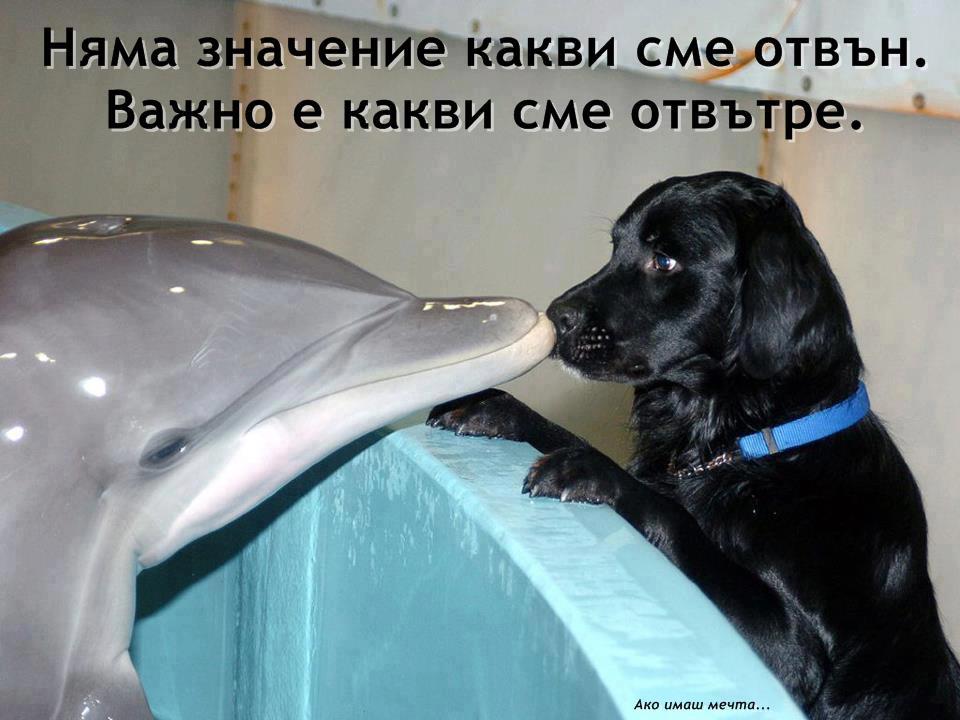 Натиснете снимката за да я уголемите

Име:406334_427124054005465_829571688_n.jpg
Прегледи:1
Размер:75.3 КБ
ID:5395940