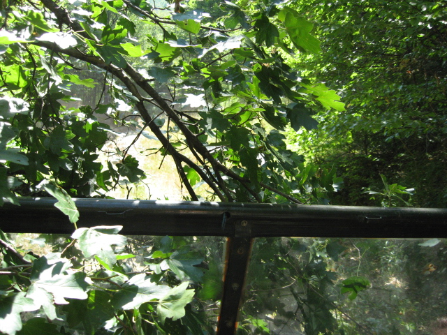 Натиснете снимката за да я уголемите

Име:IMG_2070.JPG
Прегледи:1
Размер:280.2 КБ
ID:5398428