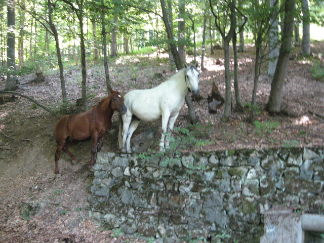 Натиснете снимката за да я уголемите

Име:IMG_2079.JPG
Прегледи:1
Размер:259.4 КБ
ID:5398435