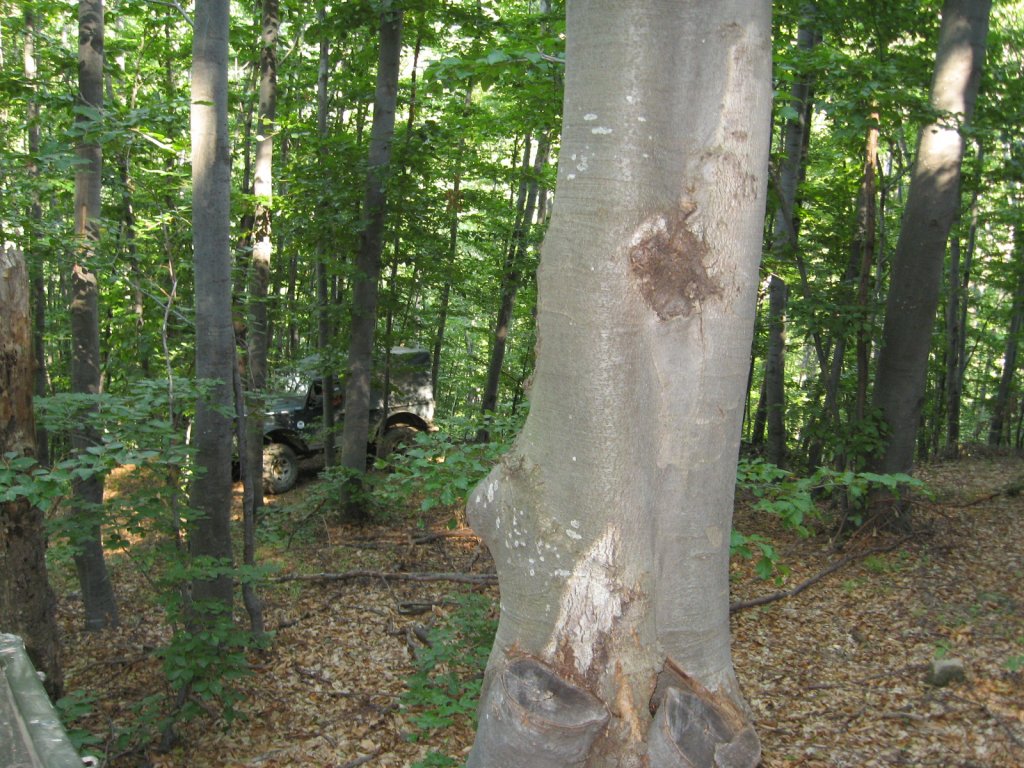 Натиснете снимката за да я уголемите

Име:IMG_2094.jpg
Прегледи:1
Размер:228.9 КБ
ID:5398469