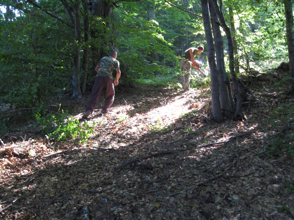 Натиснете снимката за да я уголемите

Име:IMG_2099.jpg
Прегледи:1
Размер:235.8 КБ
ID:5398474